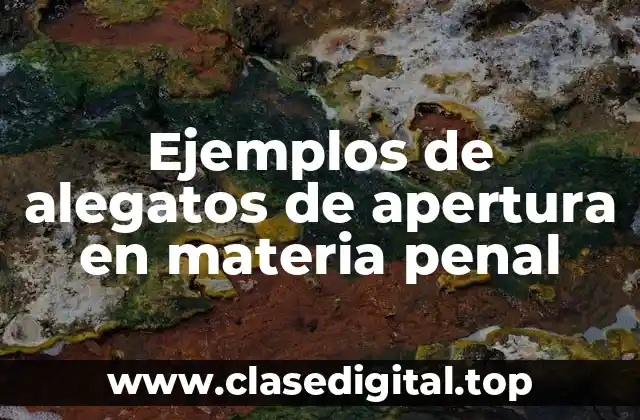 Ejemplos de alegatos de apertura en materia penal