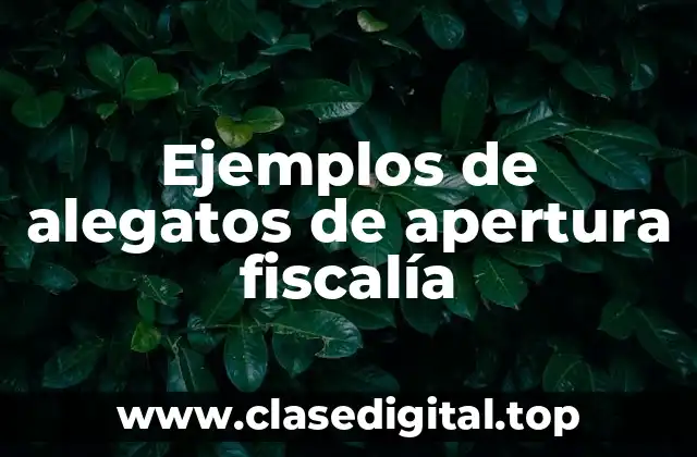 Ejemplos de alegatos de apertura fiscalía