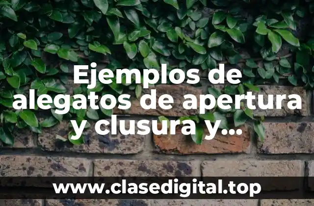 Ejemplos de alegatos de apertura y clusura y Significado