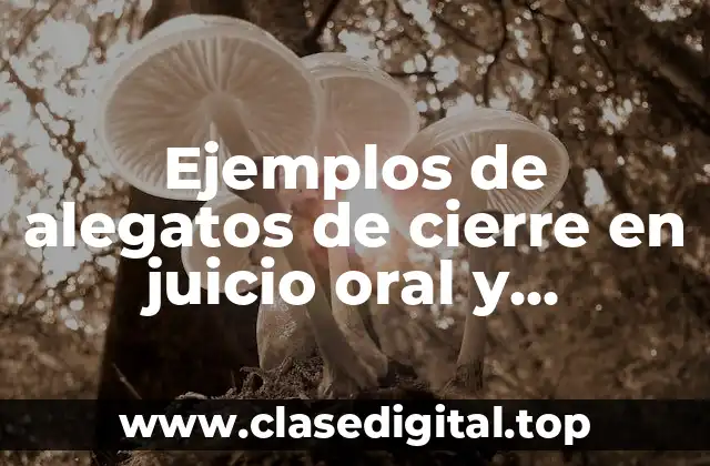 Ejemplos de alegatos de cierre en juicio oral