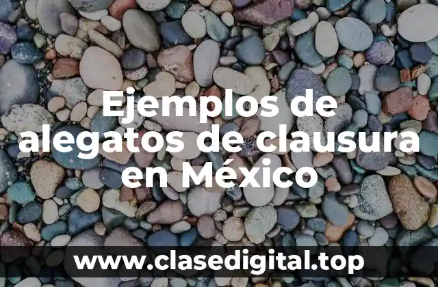 Ejemplos de alegatos de clausura en México