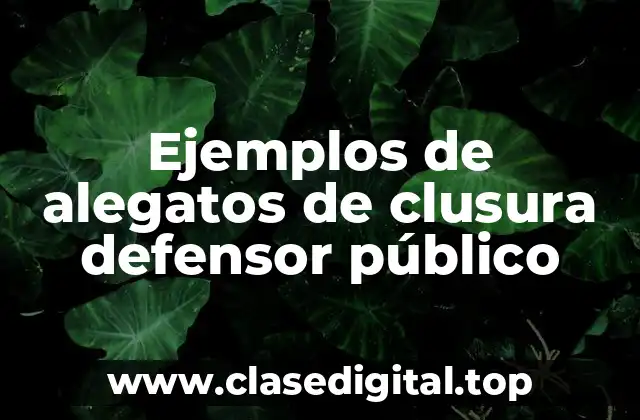 Ejemplos de alegatos de clusura defensor público