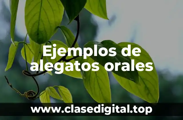 Ejemplos de alegatos orales