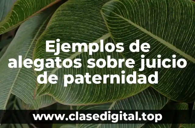 Ejemplos de alegatos sobre juicio de paternidad