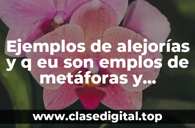 Ejemplos de alejorías