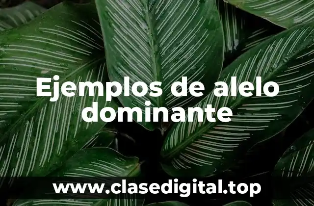 Ejemplos de alelo dominante