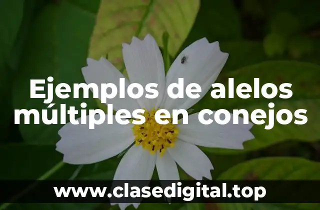 Ejemplos de alelos múltiples en conejos