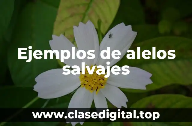 Ejemplos de alelos salvajes