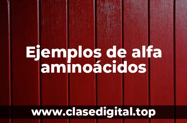 Ejemplos de alfa aminoácidos
