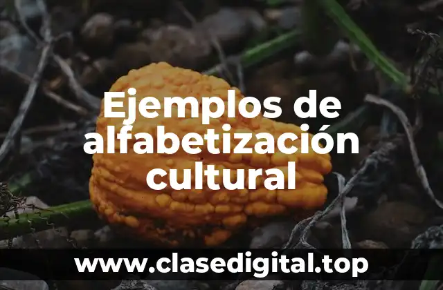 Ejemplos de alfabetización cultural