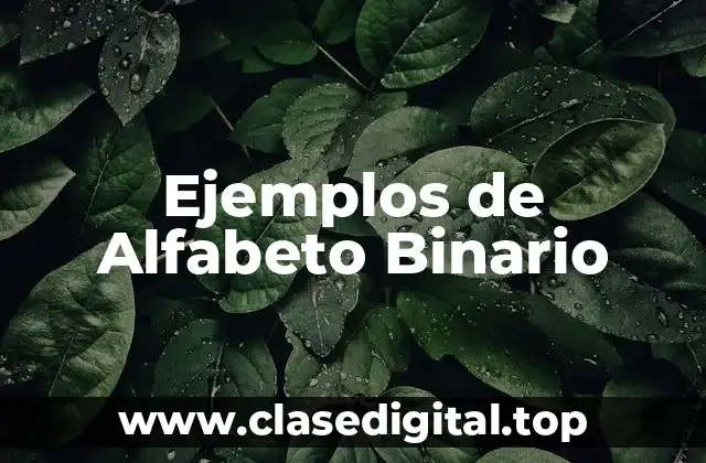 Ejemplos de Alfabeto Binario