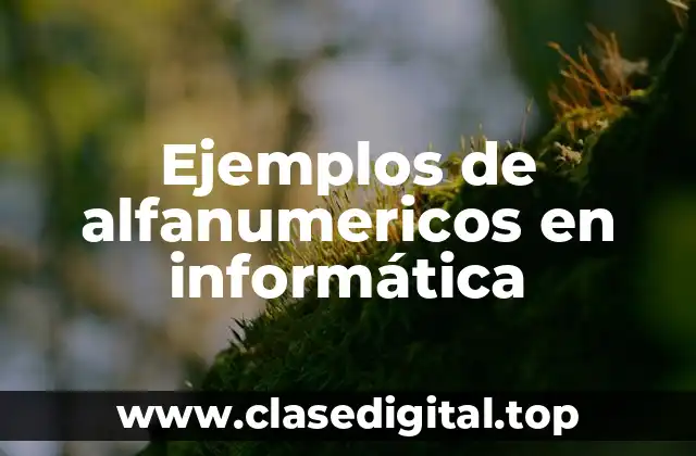 Ejemplos de alfanumericos en informática