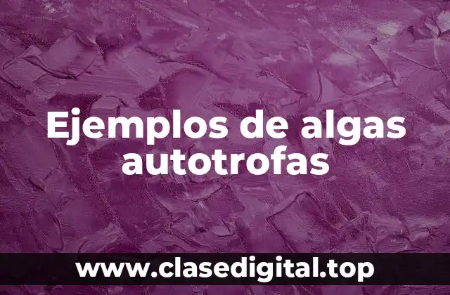 Ejemplos de algas autotrofas