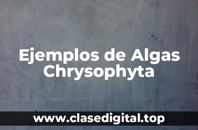 Ejemplos de Algas Chrysophyta