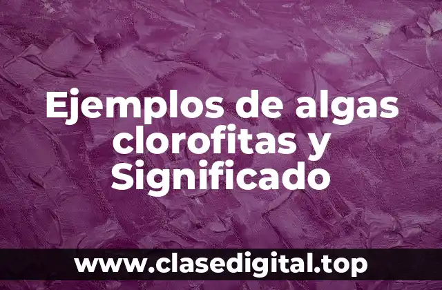 Ejemplos de algas clorofitas y Significado