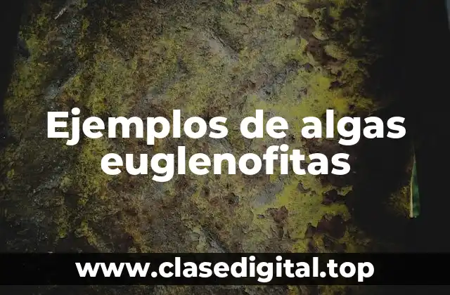 Ejemplos de algas euglenofitas