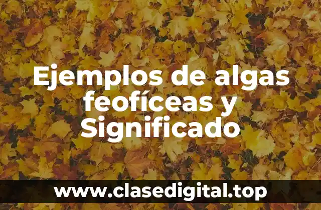 Ejemplos de algas feofíceas y Significado