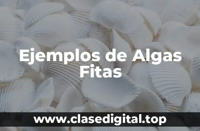 Ejemplos de Algas Fitas