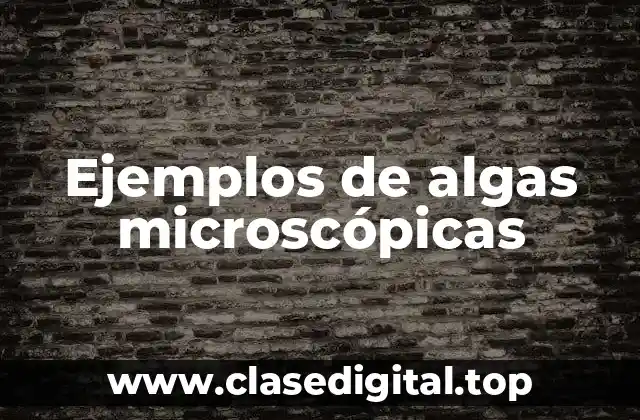 Ejemplos de algas microscópicas