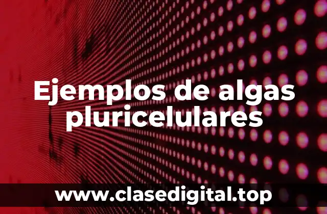 Ejemplos de algas pluricelulares