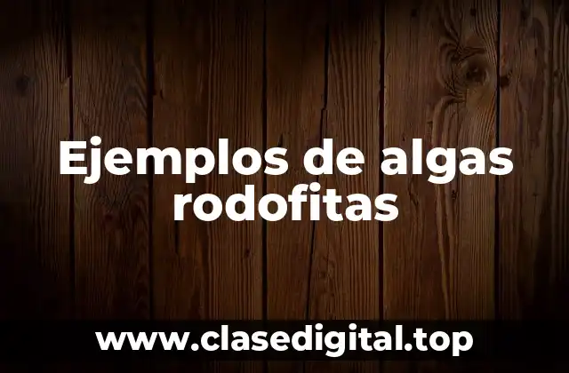 Ejemplos de algas rodofitas