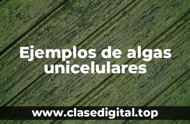 Ejemplos de algas unicelulares