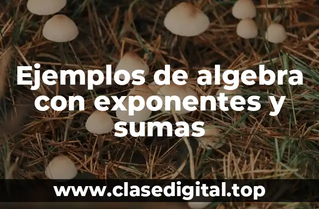 Ejemplos de algebra con exponentes y sumas