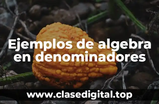 Ejemplos de algebra en denominadores