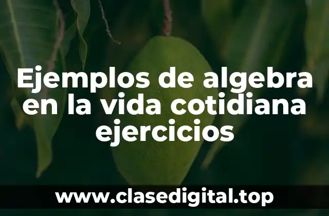 Ejemplos de algebra en la vida cotidiana ejercicios