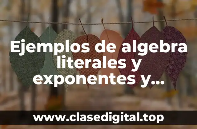 Ejemplos de algebra literales y exponentes y Significado