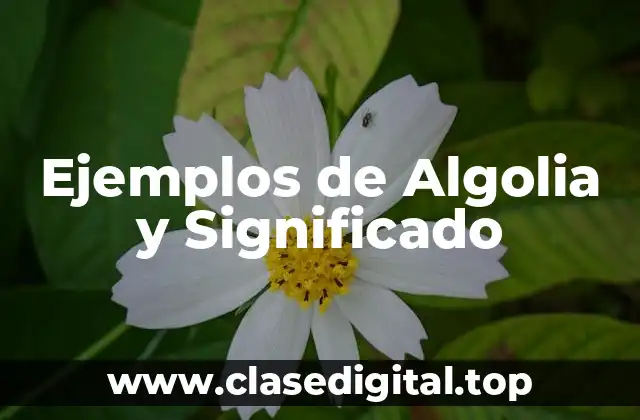 Ejemplos de Algolia y Significado