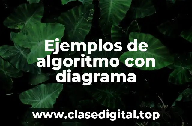 Ejemplos de algoritmo con diagrama