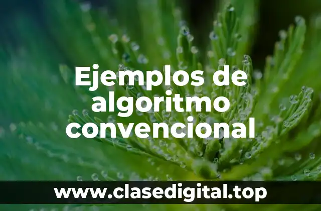 Ejemplos de algoritmo convencional
