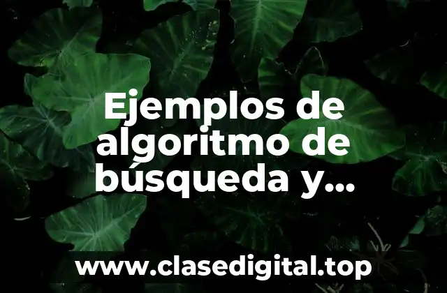 Ejemplos de algoritmo de búsqueda y ordenación y Significado