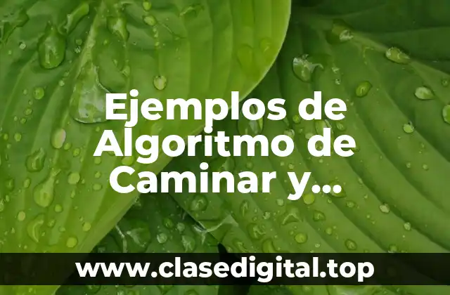 Ejemplos de Algoritmo de Caminar