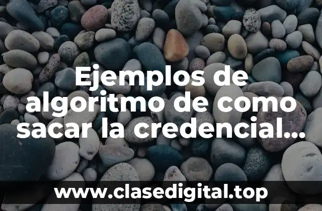 Ejemplos de algoritmo de como sacar la credencial de ine