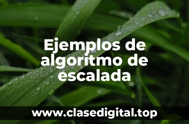Ejemplos de algoritmo de escalada