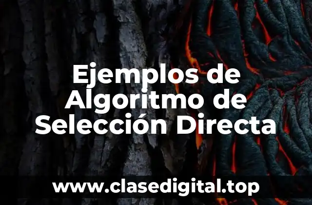 Ejemplos de Algoritmo de Selección Directa