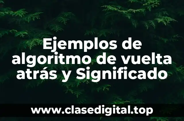 Ejemplos de algoritmo de vuelta atrás y Significado