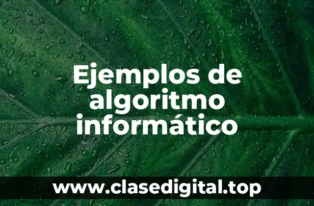 Ejemplos de algoritmo informático