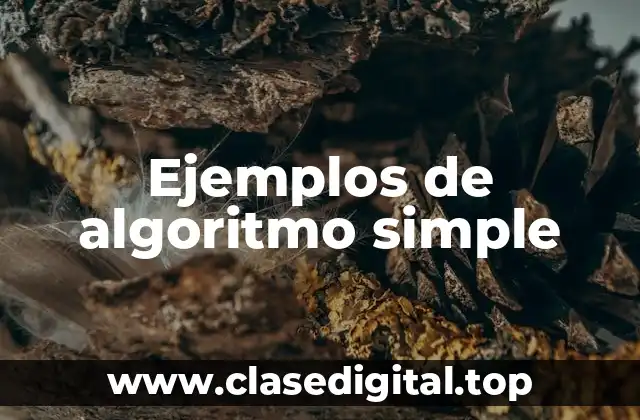 Ejemplos de algoritmo simple