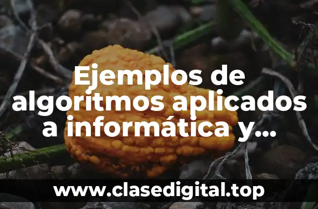 Ejemplos de algoritmos aplicados a informática y Significado