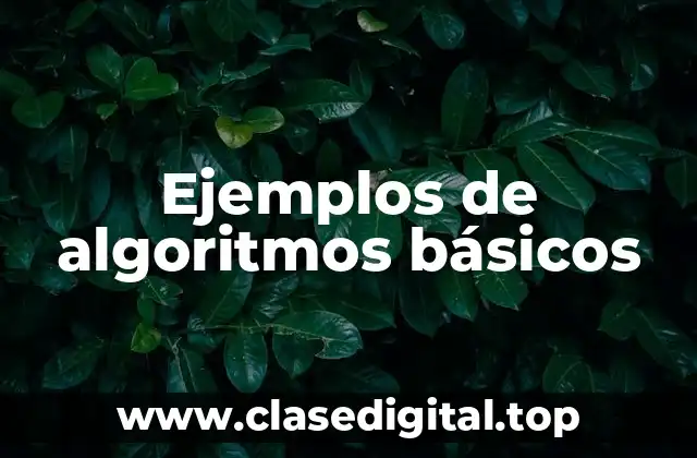 Ejemplos de algoritmos básicos