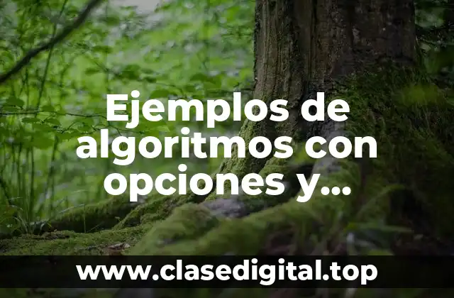 Ejemplos de algoritmos con opciones y decisiones