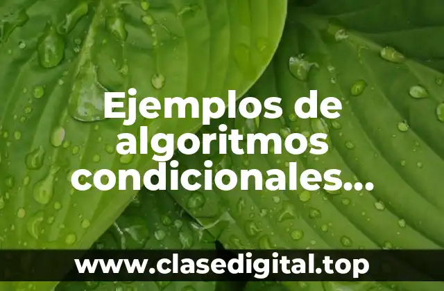 Ejemplos de algoritmos condicionales resueltos