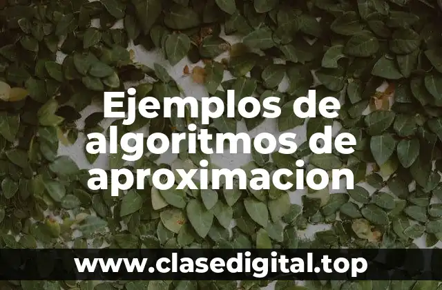 Ejemplos de algoritmos de aproximación