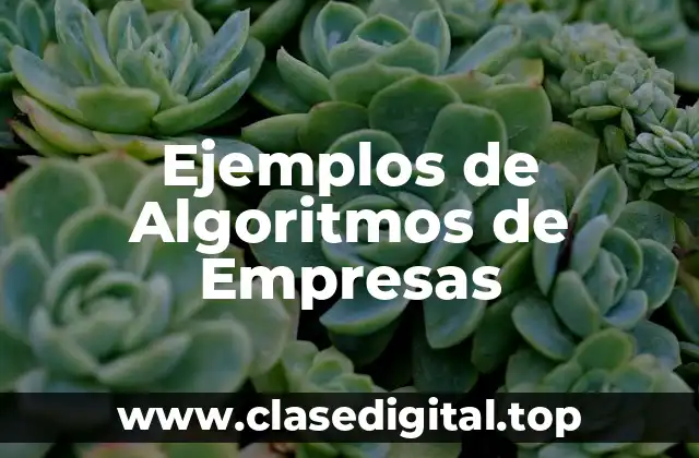 Ejemplos de Algoritmos de Empresas