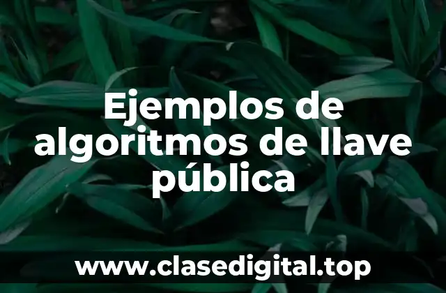 Ejemplos de algoritmos de llave pública