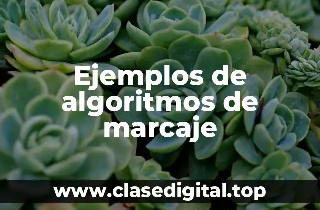 Ejemplos de algoritmos de marcaje