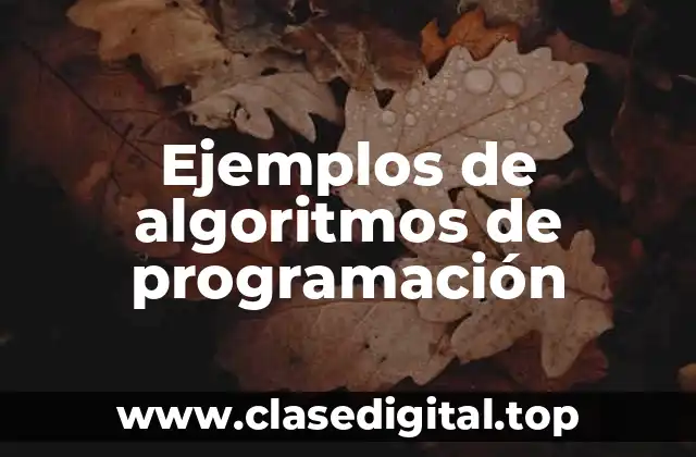 Ejemplos de algoritmos de programación